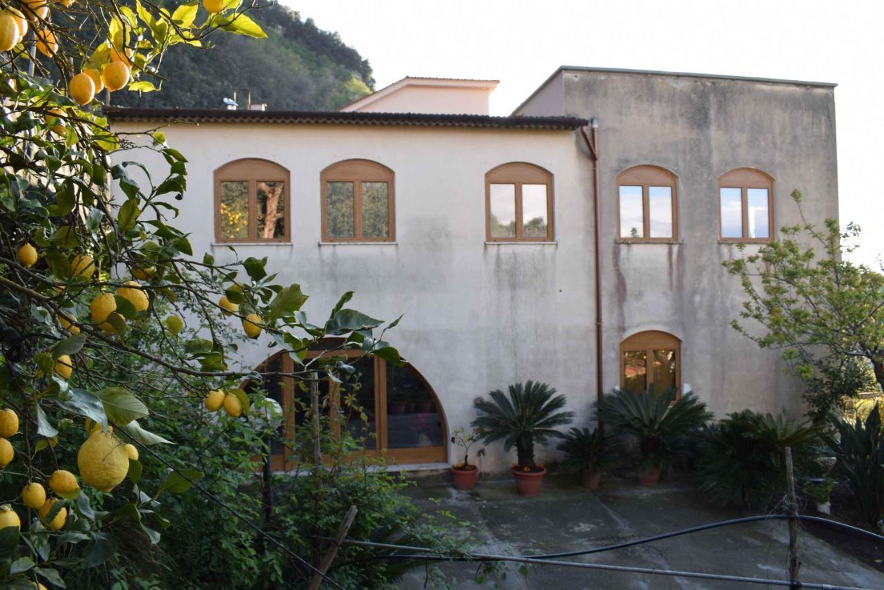 Achille Home B&B Sorrento Exteriér fotografie