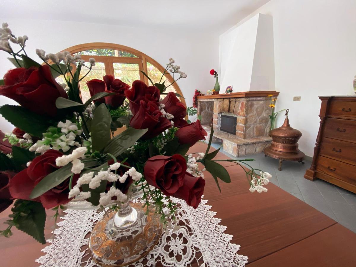 Achille Home B&B Sorrento Exteriér fotografie